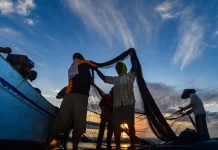 Indonesia to Hold ASEAN-ID Blue Forum in Banyuwangi