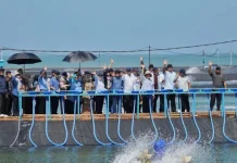 Indonesian Parliament Hails Kebumen's Shrimp Exports to U.S.