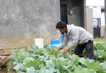 Central Java Expands Clean Water Access Through Rural Supply System