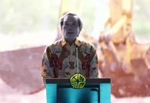 Abadi Masela LNG Project to Drive Indonesia's Economic Growth: INPEX CEO
