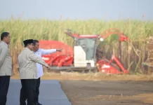Indonesia Accelerates Sugar Self Sufficiency Through Cane Replanting Program