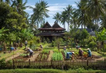 Gardening for a Healthier Mind and Body