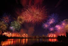 Fireworks: A Silent Killer of Wild Animals