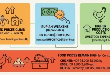 Rising Feed Costs Keep Food Prices High