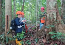 BRIN Researches Flora Diversity for Post-Mining Land Reclamation in West Kutai