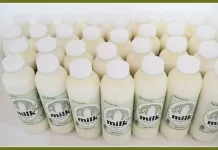 BRIN Tests Fermented Milk to Prevent Anemia in Adolescent Girls