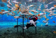 Umbul Ponggok Offers Indonesia's Unique Freshwater Adventure