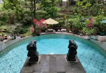 Umbul Besuki Brings Natural Spring Escape in Central Java