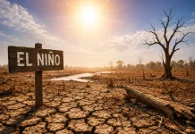 OIKN Affirms Public to Use IKNOW App to Report Forest and Land Fires