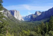 Indonesia Affirms Commitment to Protecting Natural World Heritage
