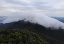 Gunung Maras National Park Strengthens Commitment to Biodiversity Conservation