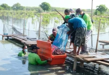 Surabaya Promotes Diverse Protein Sources for Healthy Diets