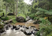 The Ministry of Forestry Speeds up Digitalization of Conservation Area