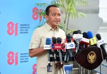 Indonesia's 100 GW Solar Power Project Groundbreakingto Begin Soon
