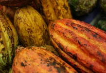 Ministry of Trade Sets Reference Prices for Commodities in August 2026