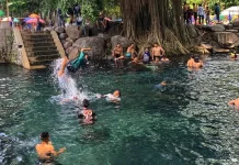 Klaten’s 1001 Umbuls Reveal Nature’s Hidden Water Heritage