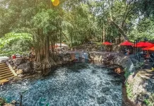 Klaten’s Umbul Sigedang-Kapilaler Offers Underwater Beauty