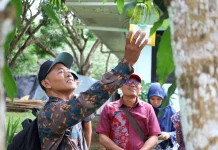 Indonesian Mango Farmers Learn The Philippines’ Best Practices to Boost Productio