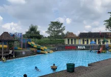 Klaten’s Umbul Nilo Offers Peaceful Springs Amid Rice Fields