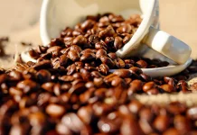Indonesia-Chile Business Matching Records USD 104,000 Transactions
