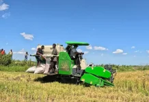 BPS Records Increasing Number of Indonesian Farmers' Purchasing Power Increases