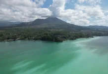 Indonesia's Government Reveals Cause of Mass Fish Death in Bali's Volcanic Lake