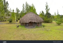 Honai: The Papuan House Now Recognized as Indonesian National Cultural Heritage