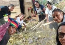 Barapen: Papua’s Sacred Heritage of Communal Stone-Cooking Rituals