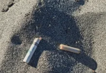 Cigarette Butts: A Hidden Threat Lurking on Global Beaches