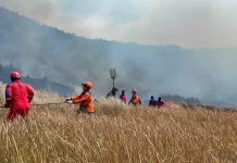 Mount Bromo Wildfire Burns 60 Hectares