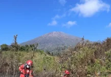Govt's Quick Response to Control the Fire in Mount Rinjani Conservation Area
