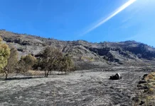 Ministry of Tourism Coordination Regarding the Fire in the Bromo Area