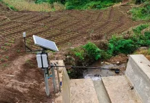 BRIN Develops Technology to Measure the Real Impact of Reforestation