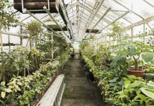 Indonesia, South Korea Cooperate in Smart Greenhouses