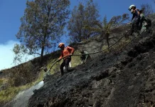 540 Joint Personnel Deployed to Boost Fire Handling in the Bromo Area