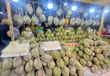 Durian Exports in Transmigration Areas Drive Its Prices Up to Sixfolds: Minister