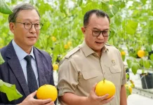 Indonesia-South Korea Inaugurates Smart Greenhouse for Tropical Agriculture