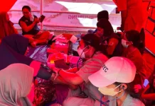 Indonesia Prepares Student Program to Support Post-Disaster Recovery in NTT
