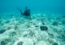 Indonesia, China Enhance Marine Research Cooperation