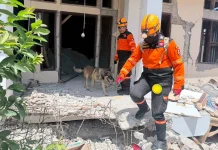 Polri K-9 Dogs Lead Rescue After New NTT Quake