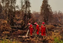 Indonesia Enhances Fire Response Across Kalimantan