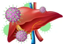 How Different Types of Hepatitis Spread