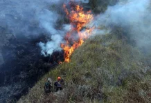 The National Police Reaffirm Commitment to Tackling Forest and Land Fires