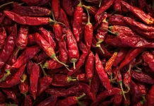 AI Developed to Detect Diseases and Predict Chili Pepper Crop Quality