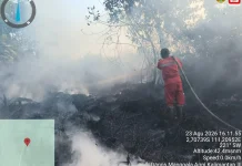 Analyst: Indonesia Needs Stronger Diplomacy to Address Forest Fires