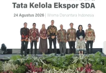 Danantara ‘DSI’ Announces Operational Readiness