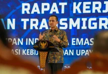 Domande Transmigration Area Boosts Economic Independence in Papua