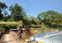 Kalimosodo Offers an Authentic Rural Tourism Experience