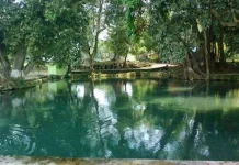 Sendang Tirto Sinongko Blends Springs, History, and Tradition