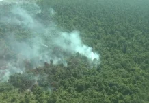 Doctor Warns Wildfire Smoke Particles Can Harm the Lungs